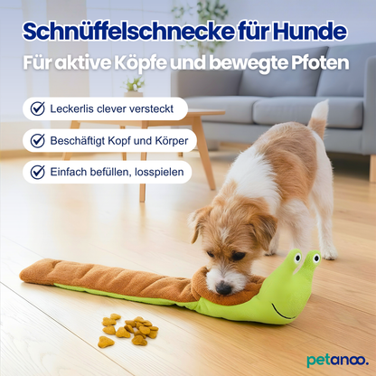 Schnüffelschnecke – Beschäftigung für Kopf & Körper