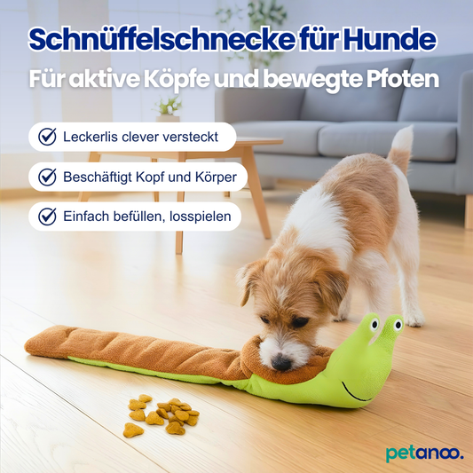 Schnüffelschnecke – Beschäftigung für Kopf & Körper