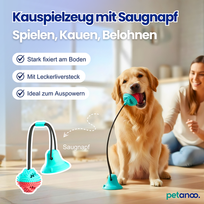 Kauspielzeug mit Saugnapf – Spielen, Kauen, Belohnen
