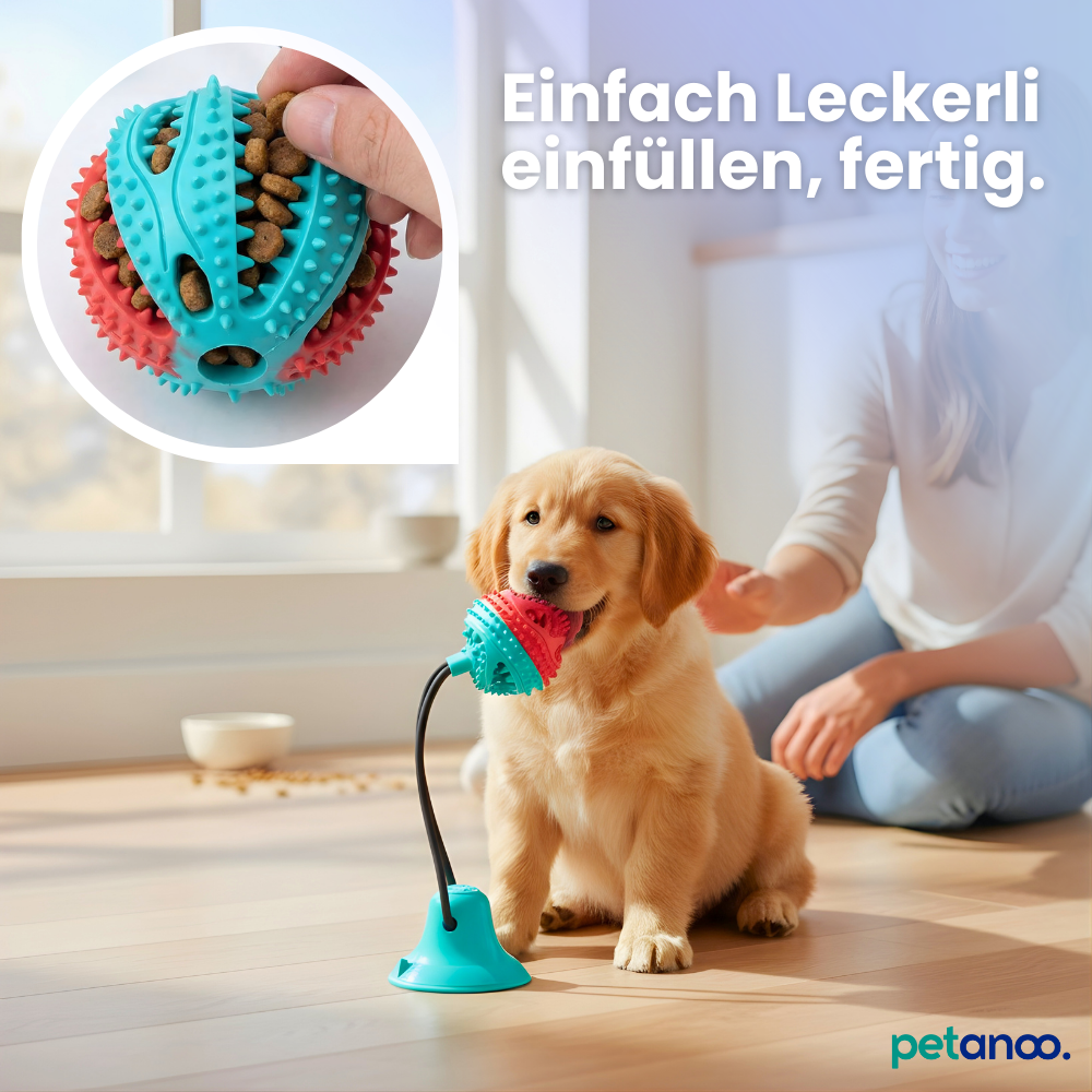 Kauspielzeug mit Saugnapf – Spielen, Kauen, Belohnen