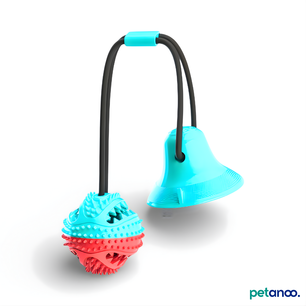 Kauspielzeug mit Saugnapf – Spielen, Kauen, Belohnen