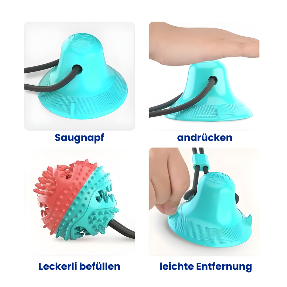 Kauspielzeug mit Saugnapf – Spielen, Kauen, Belohnen