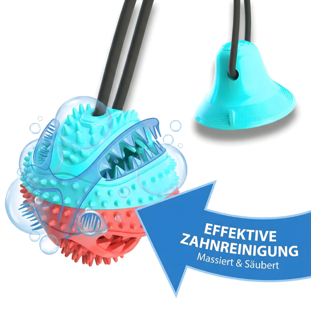 Kauspielzeug mit Saugnapf – Spielen, Kauen, Belohnen