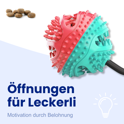 Kauspielzeug mit Saugnapf – Spielen, Kauen, Belohnen