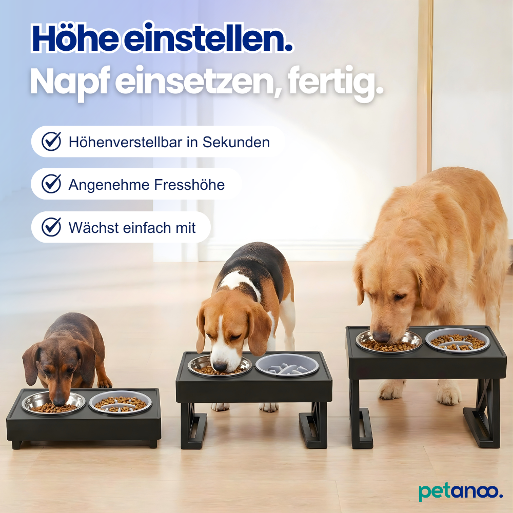 Verstellbares Napfgestell – Besser fressen. Weniger Chaos.