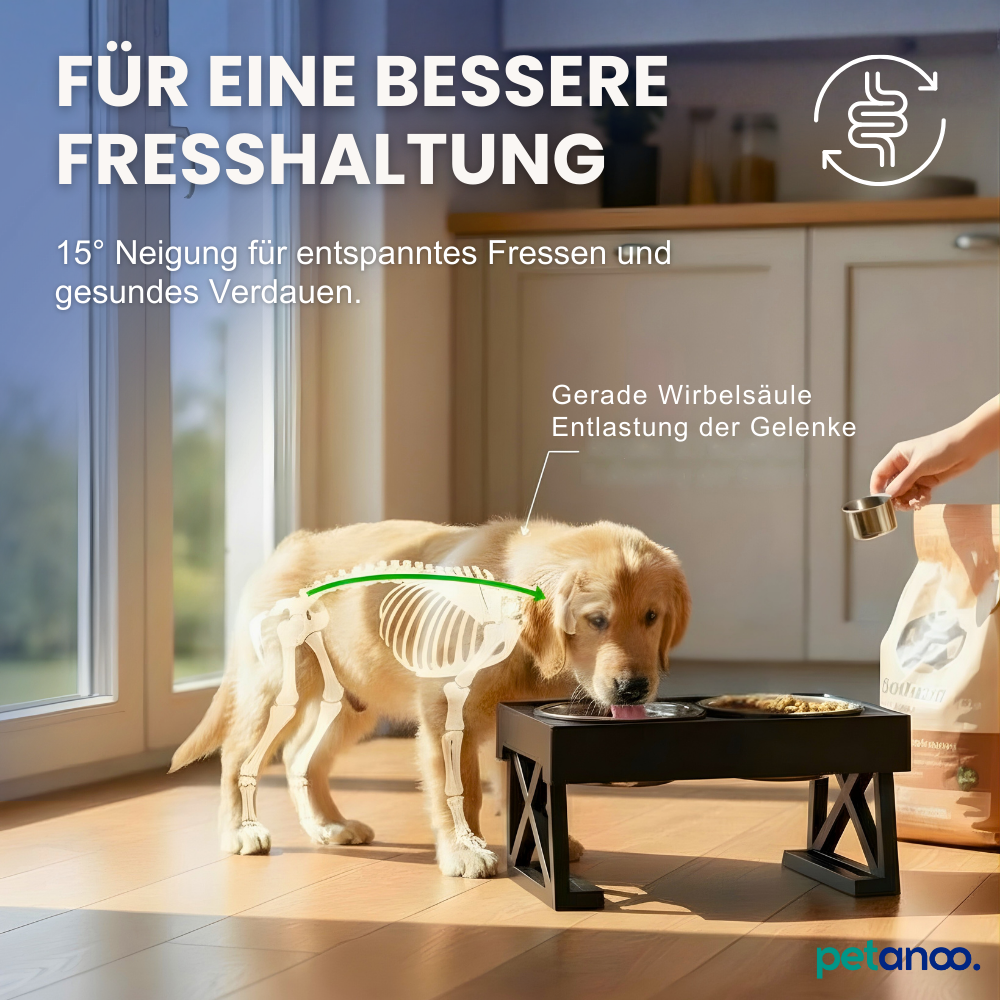 Verstellbares Napfgestell – Besser fressen. Weniger Chaos.