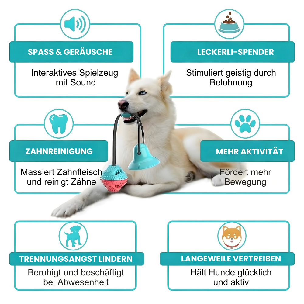 Kauspielzeug mit Saugnapf – Spielen, Kauen, Belohnen