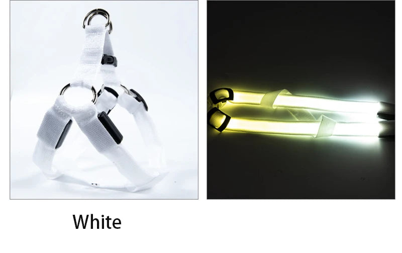 LED Nylon Hundegeschirr - verbesserte Sichtbarkeit