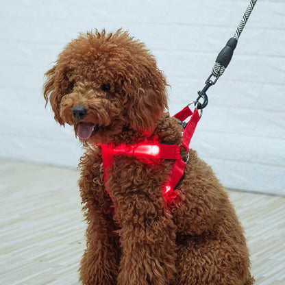 LED Nylon Hundegeschirr - verbesserte Sichtbarkeit