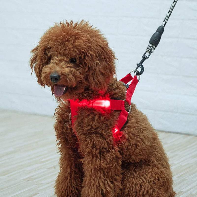 LED Nylon Hundegeschirr - verbesserte Sichtbarkeit