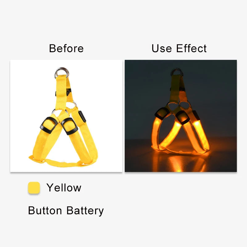 LED Nylon Hundegeschirr - verbesserte Sichtbarkeit