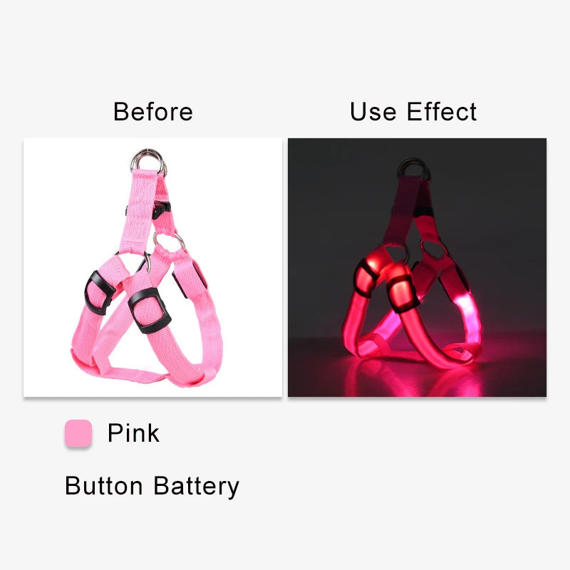 LED Nylon Hundegeschirr - verbesserte Sichtbarkeit