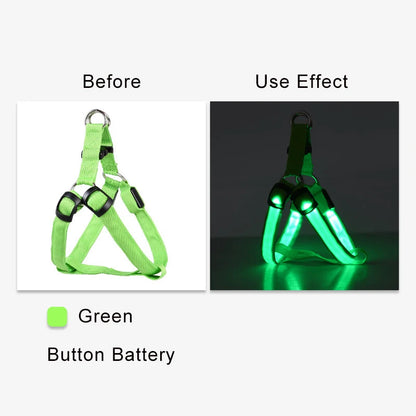 LED Nylon Hundegeschirr - verbesserte Sichtbarkeit