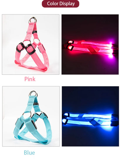LED Nylon Hundegeschirr - verbesserte Sichtbarkeit