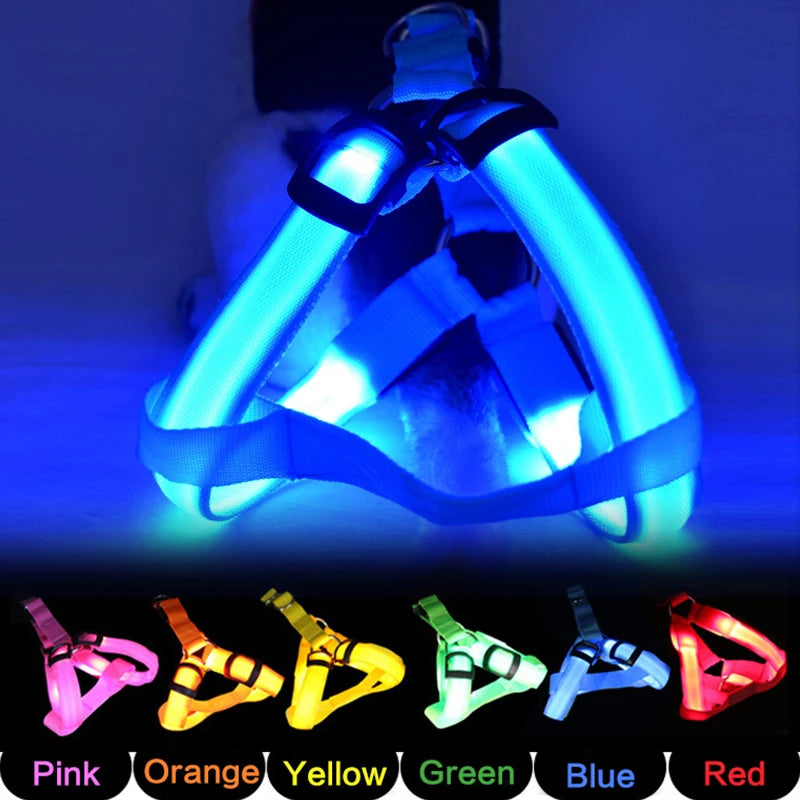 LED Nylon Hundegeschirr - verbesserte Sichtbarkeit