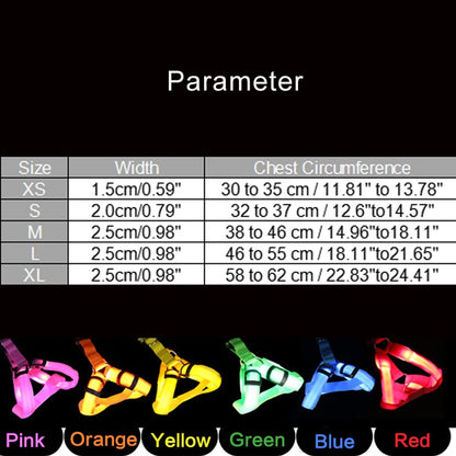 LED Nylon Hundegeschirr - verbesserte Sichtbarkeit