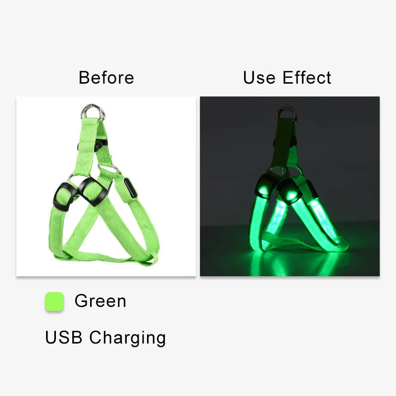 LED Nylon Hundegeschirr - verbesserte Sichtbarkeit