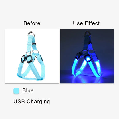 LED Nylon Hundegeschirr - verbesserte Sichtbarkeit