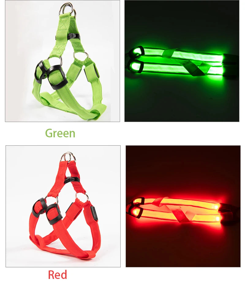 LED Nylon Hundegeschirr - verbesserte Sichtbarkeit