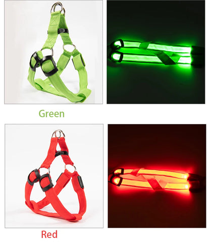 LED Nylon Hundegeschirr - verbesserte Sichtbarkeit