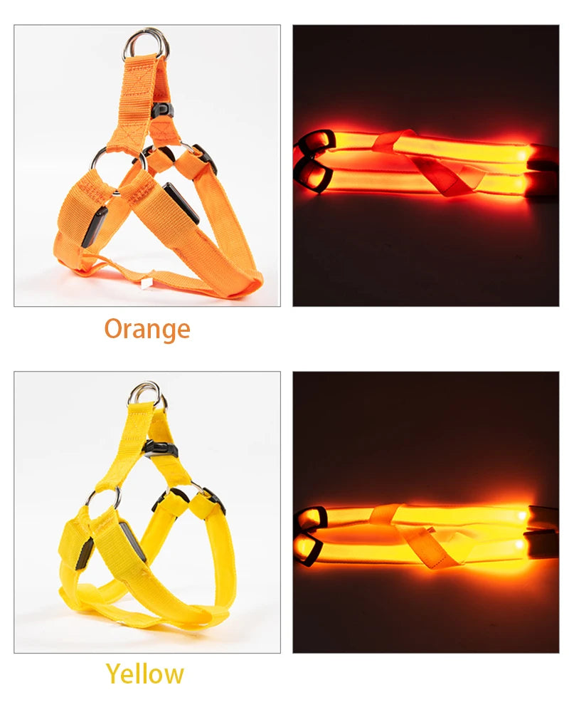 LED Nylon Hundegeschirr - verbesserte Sichtbarkeit