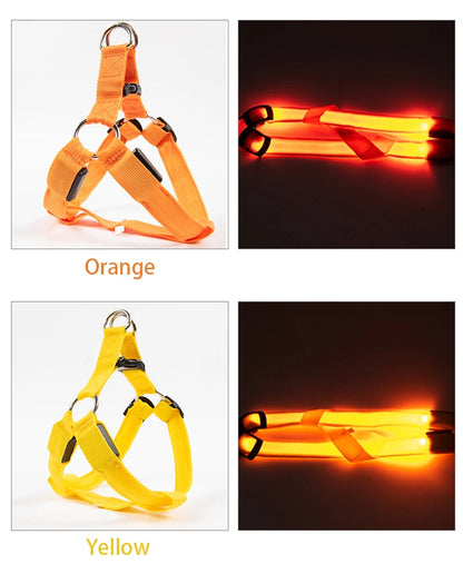 LED Nylon Hundegeschirr - verbesserte Sichtbarkeit