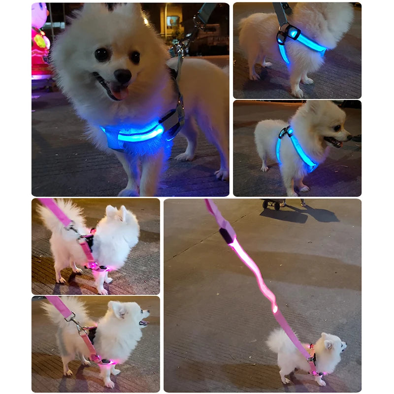 LED Nylon Hundegeschirr - verbesserte Sichtbarkeit