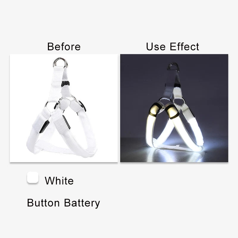 LED Nylon Hundegeschirr - verbesserte Sichtbarkeit